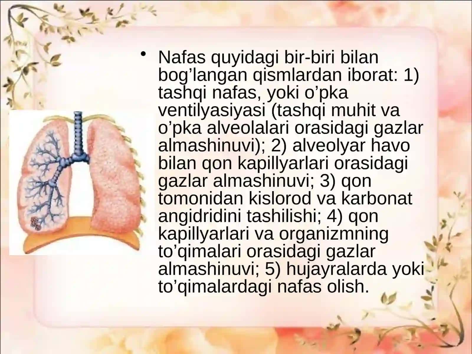 Nafas olish fiziologiyasi 4