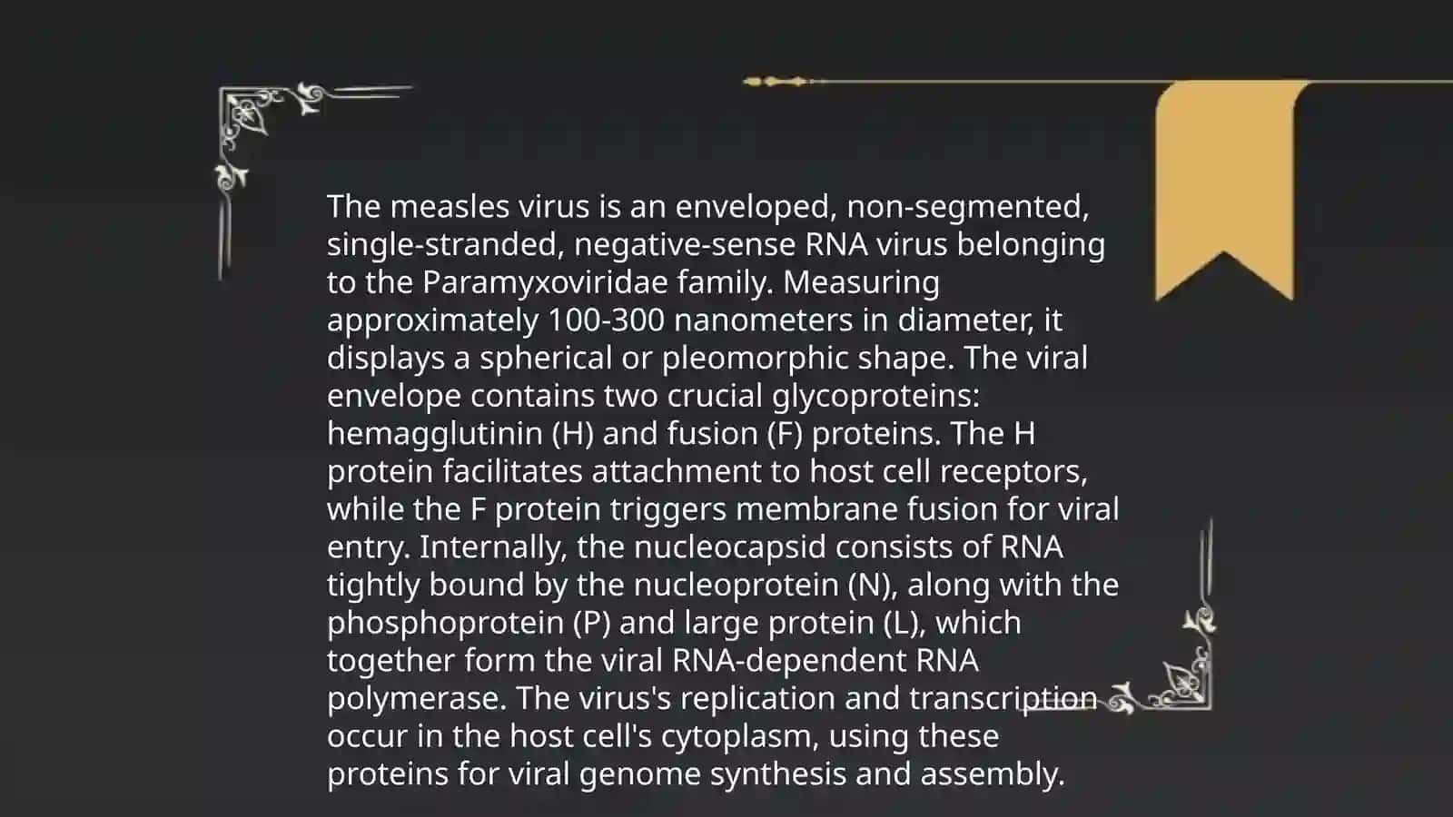 Measles Culture Project 4