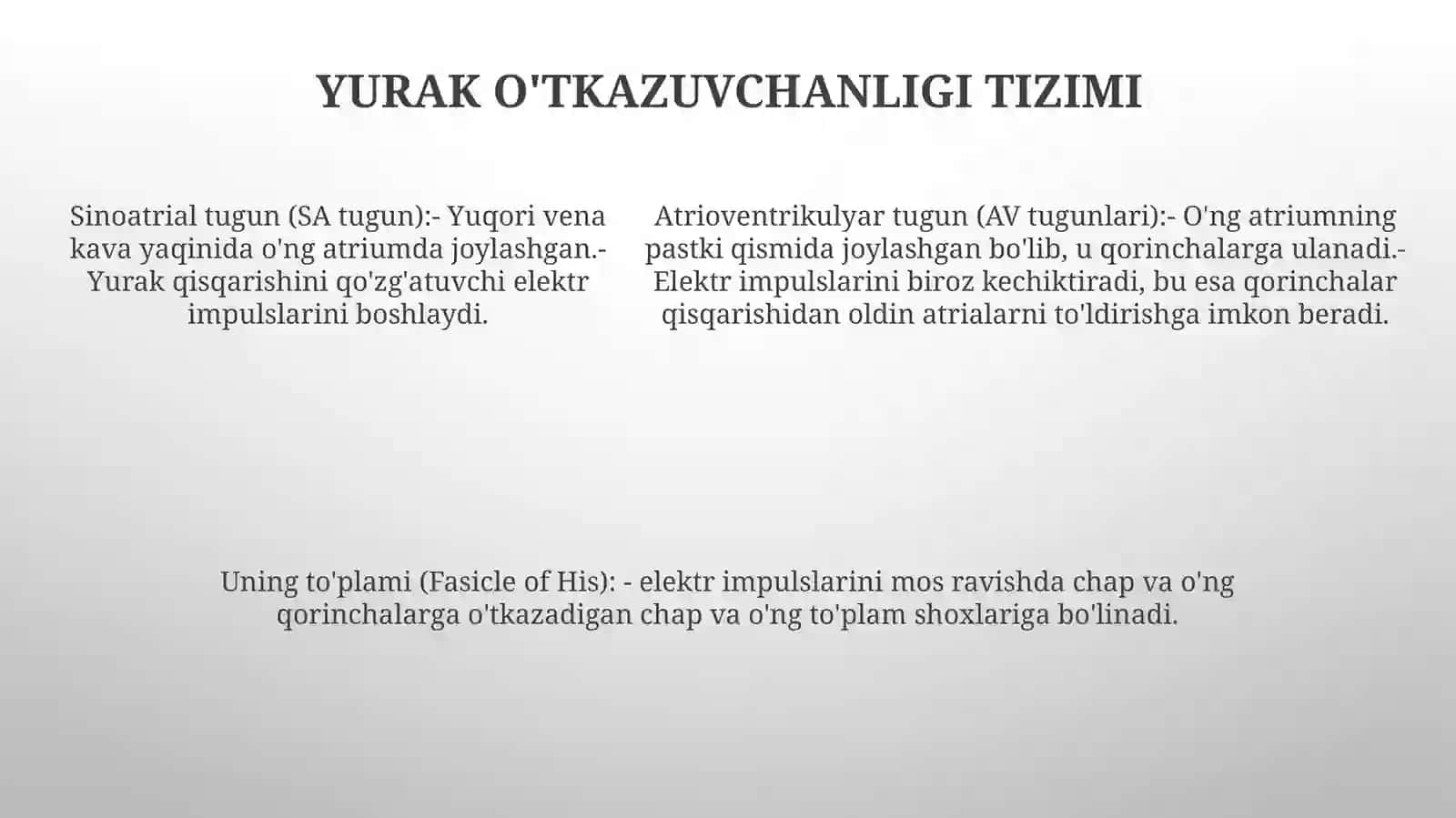 Yurak 4