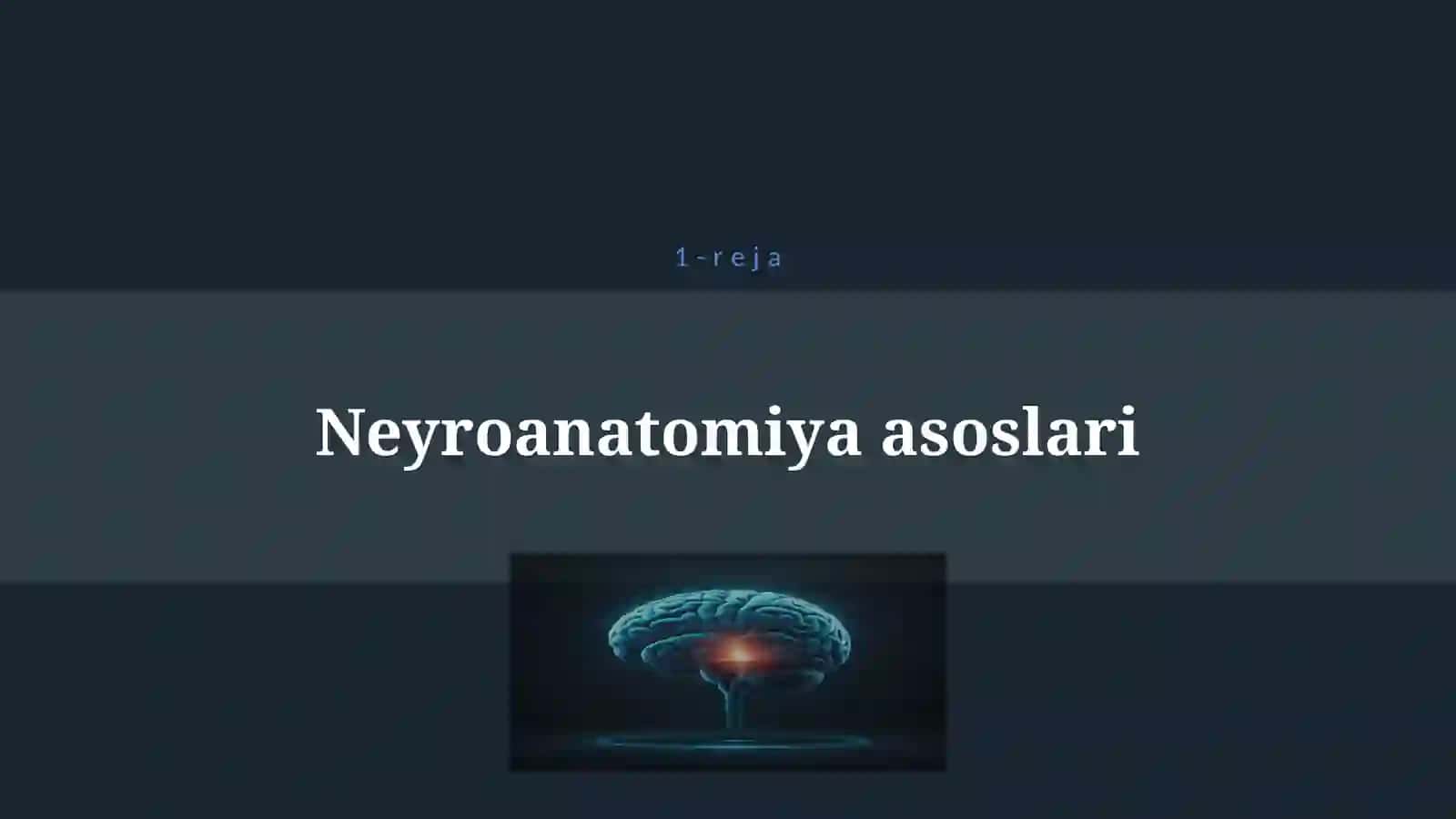 BOSH MIYA VA UNING TUZILISHI 4