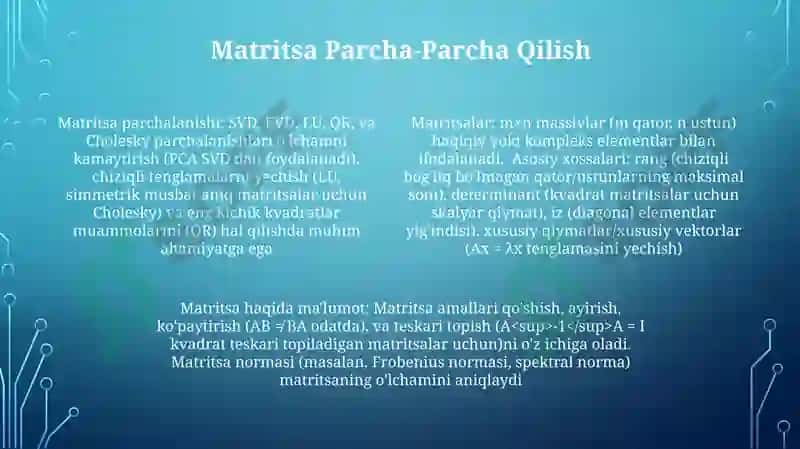Matritsa haqida ma'lumot 4