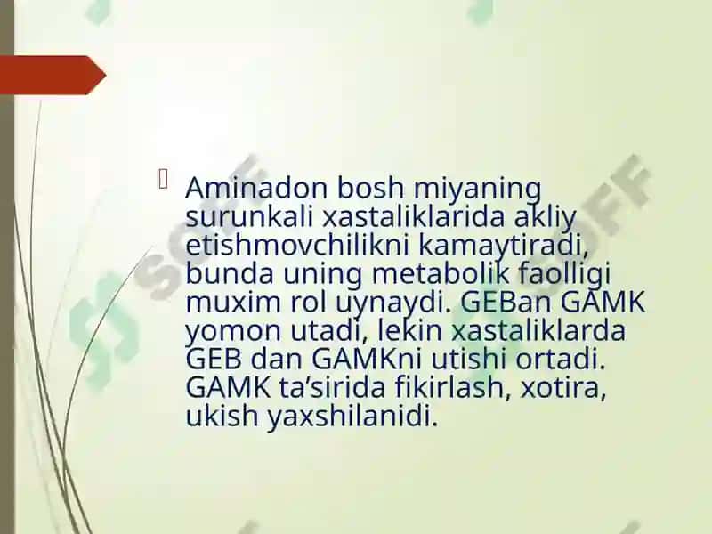 AMINALON 4
