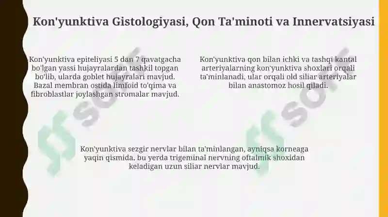 Kon'yunktiva 4