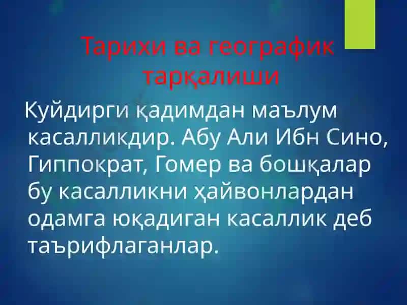 Куйдирги 4