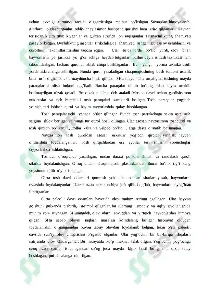 Paleolit davri xususiyatlari 4
