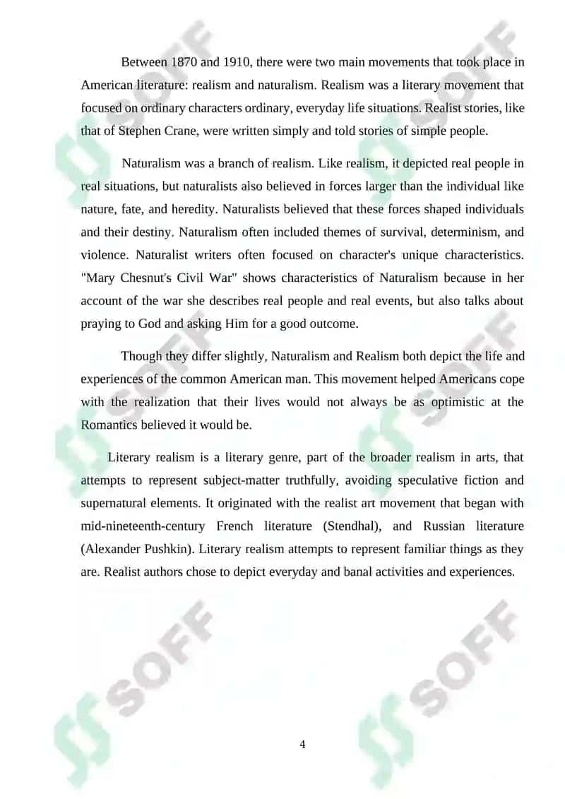 American Realism and Naturalism Course Work 4