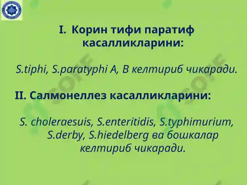 Salmonella classification 4
