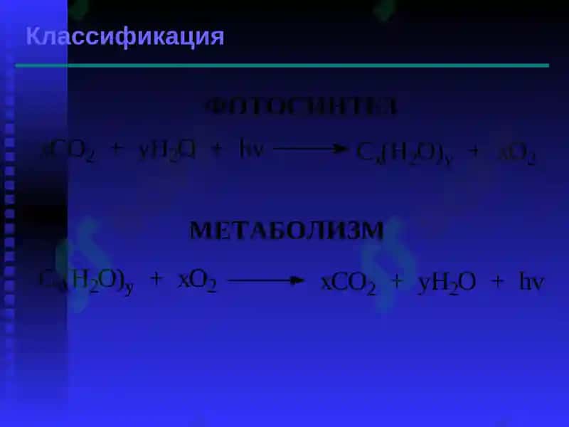 Углеводы, Химия, 10 класс 4