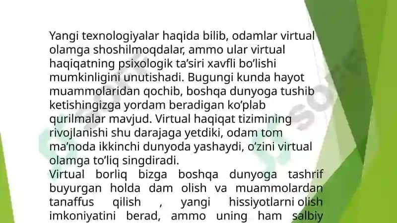 Virtualborliq 4