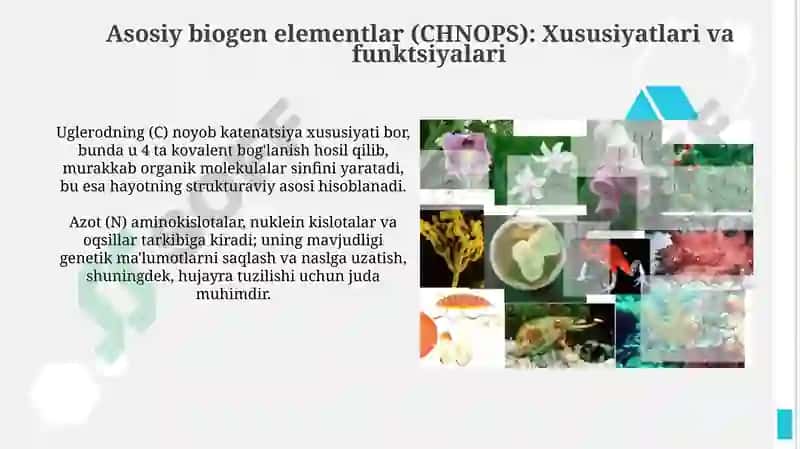 Biogen elementlar 4