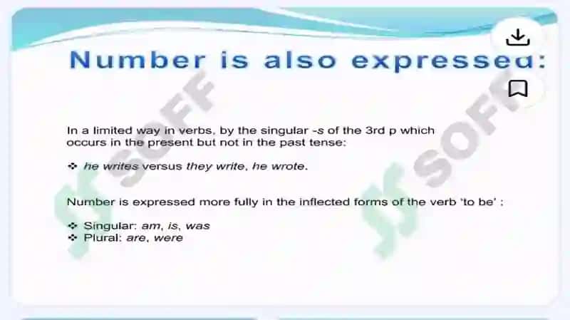 GRAMMATICAL CATEGORIES 4