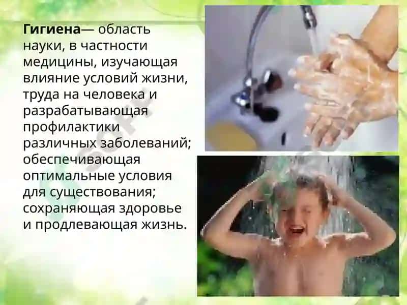 Гигиена 4
