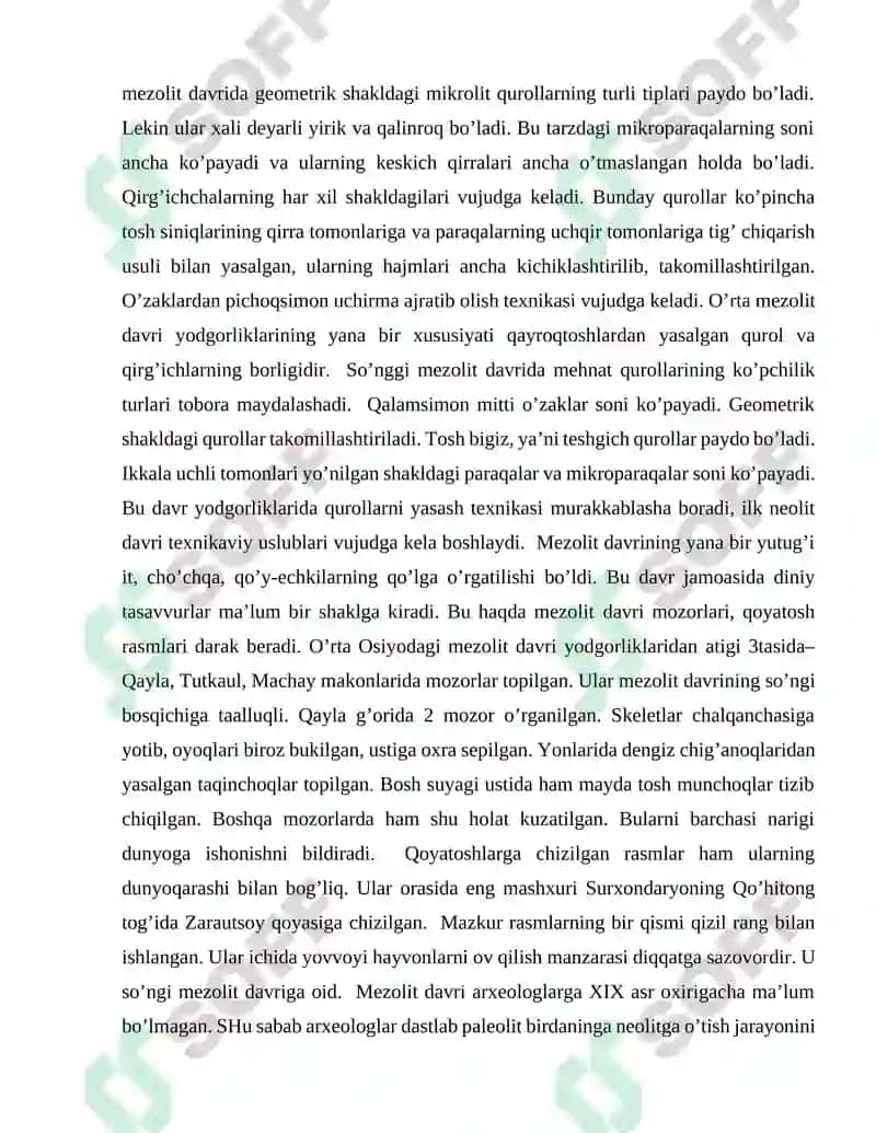 Yevropada mezolit davri 4