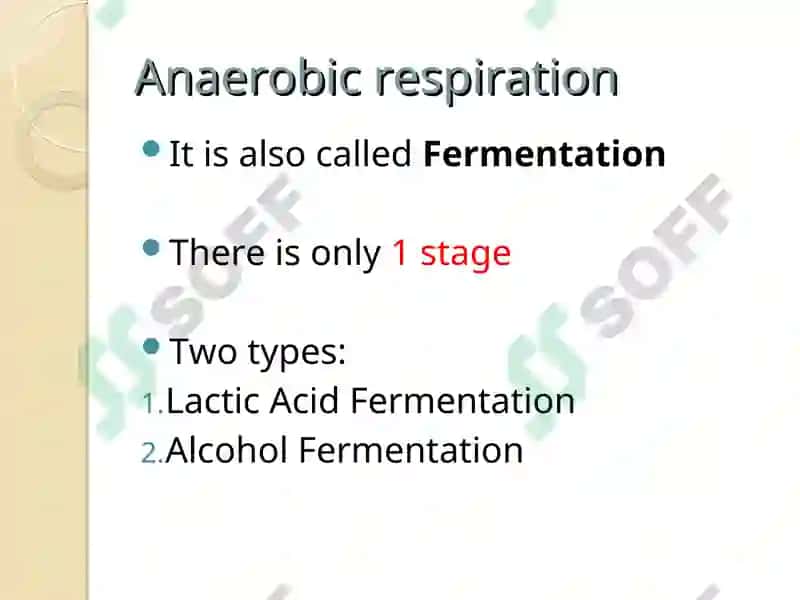 Respiration 4