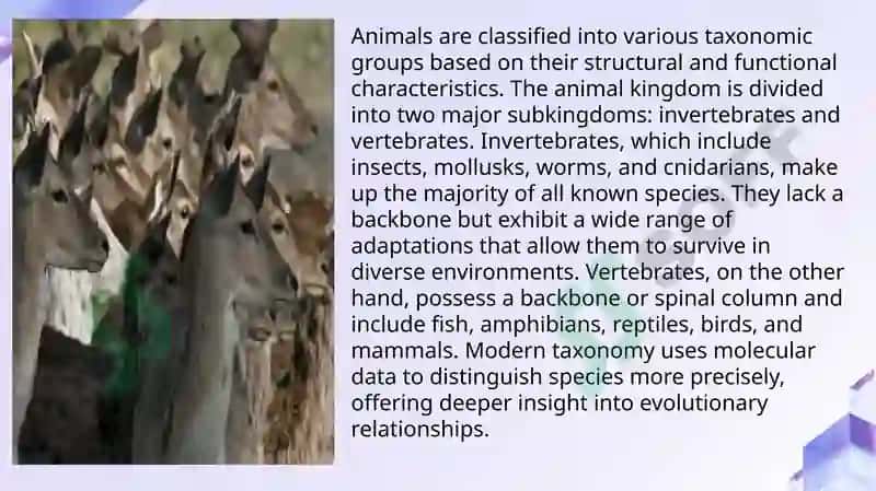 Animalis 4