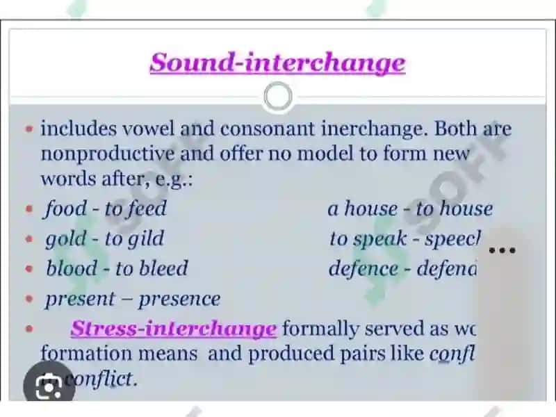 Theoretical aspects of studied language 4