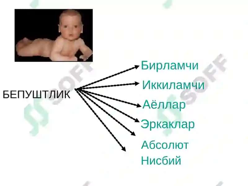 Бепуштлик 4