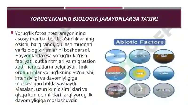 Abiotik omillarning tirik organizmlarga tasirini organish 4