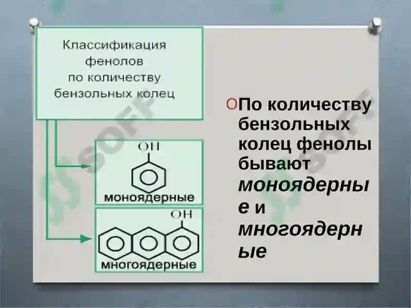 Фенол 4