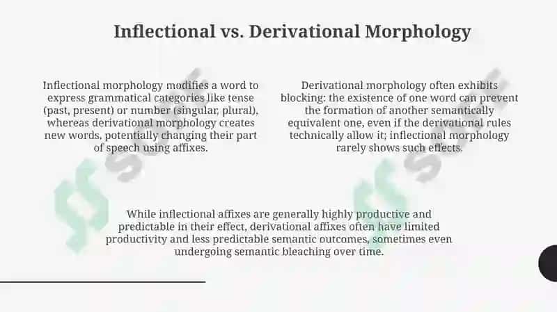 Morphology: Building Blocks of Words 4