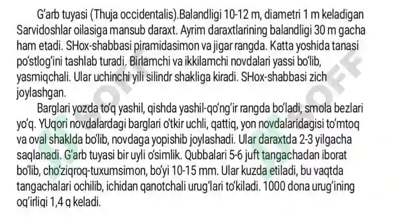 Manzarali Nina Bargli Daraxtlar 4