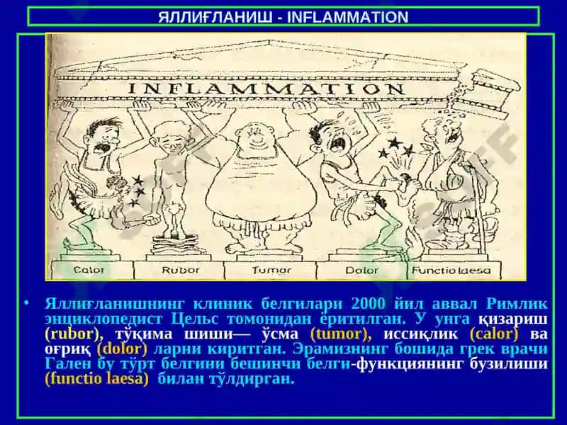 Яллиғланиш 4