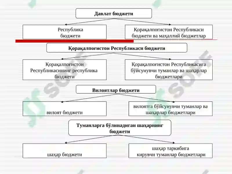Молия тизими 4