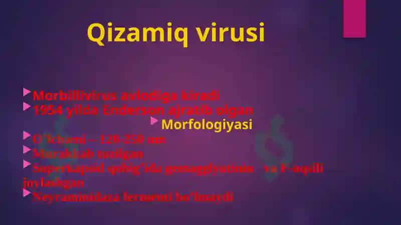 RNK saqlovchi viruslar 4