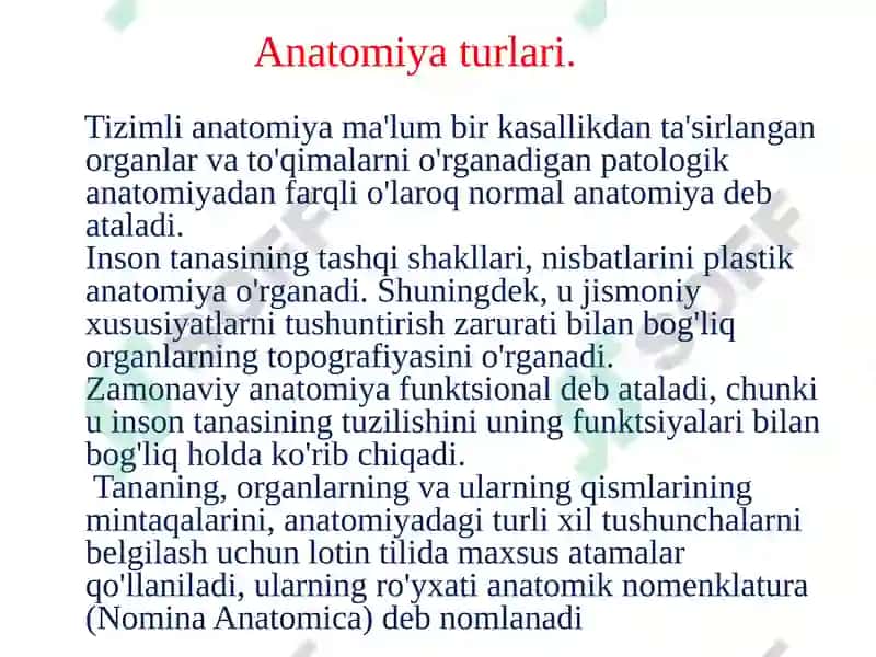 Inson anatomiyasi 4