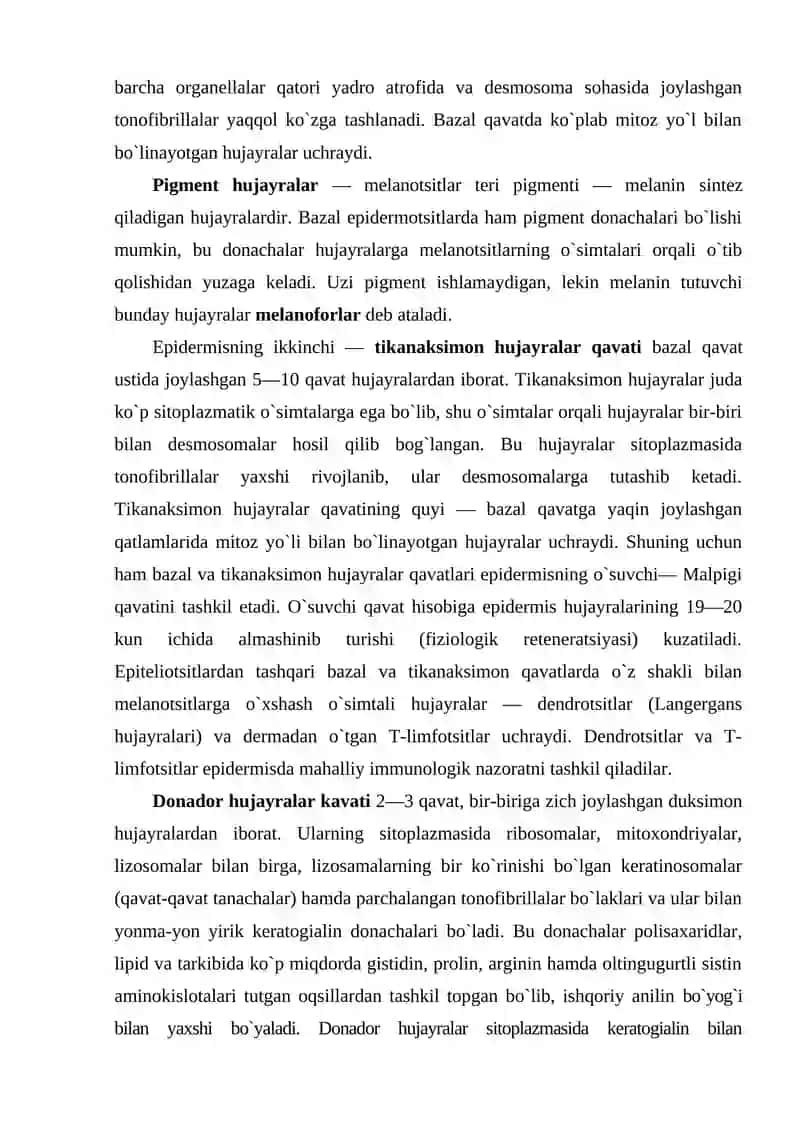 Teri va uning hosilalari 4