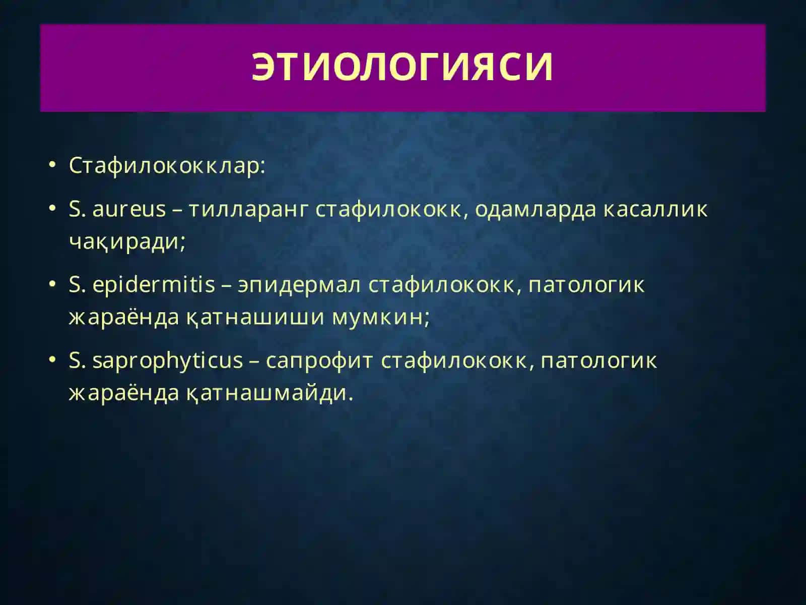 Терининг йирингли касалликлари-пиодермитлар 4