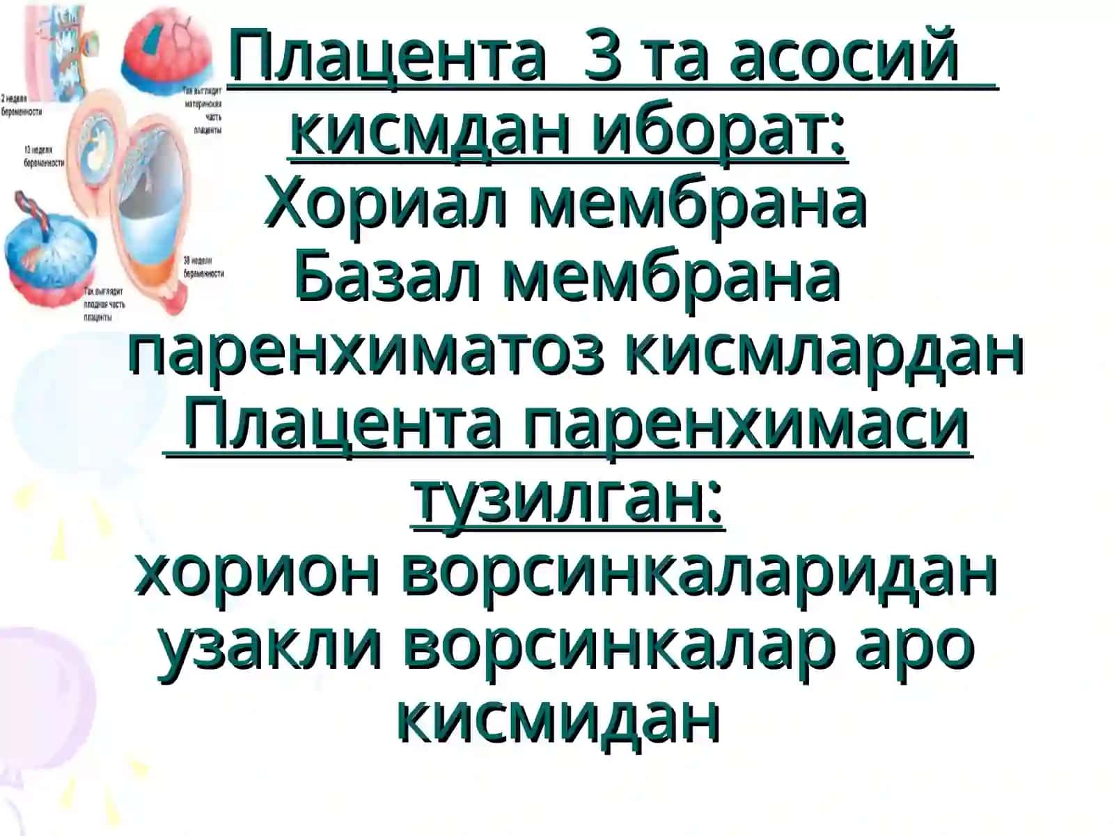 Фетоплацентар тизим 4
