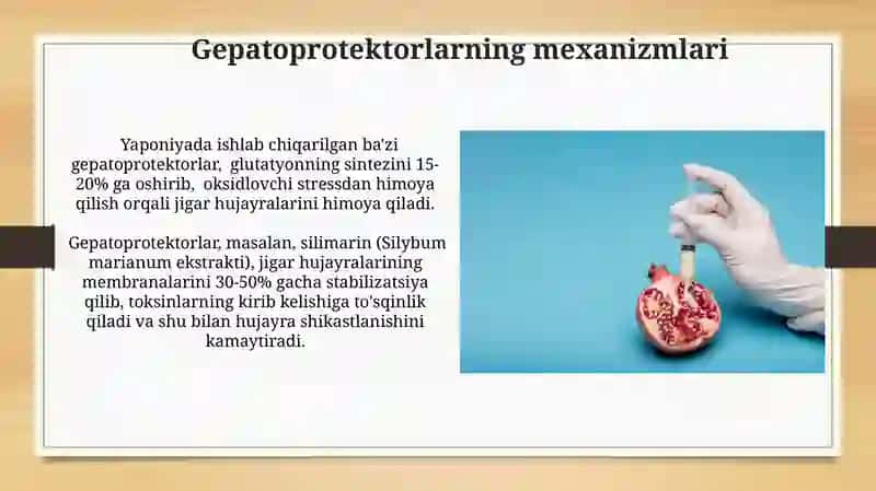 Gepatoprotektorlar 4