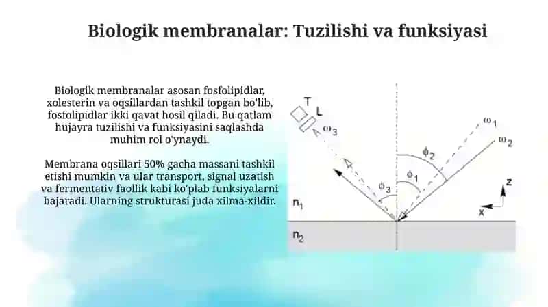 Sirt hodisalari va adsorbsiya 4