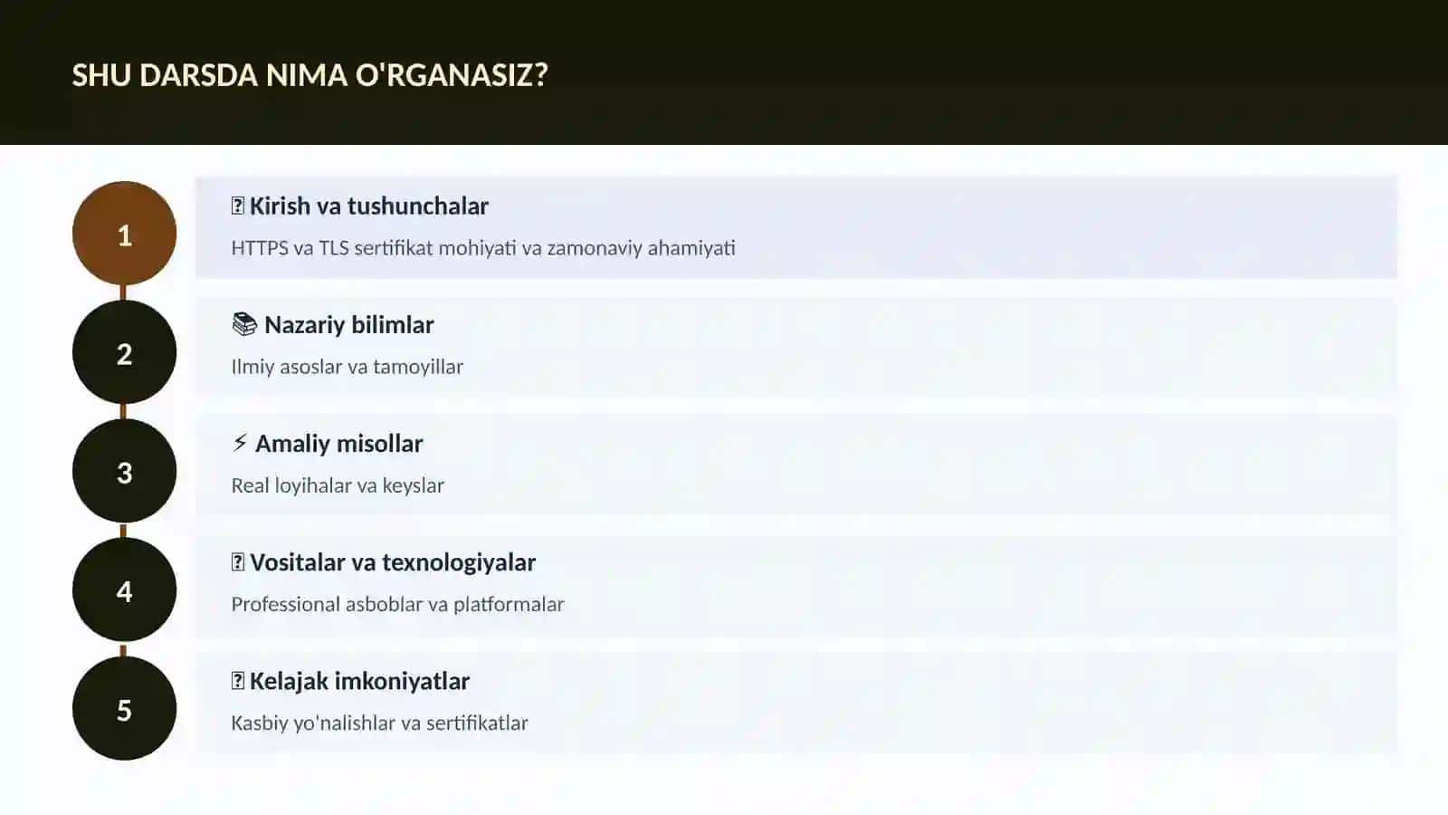 HTTPS va TLS sertifikat 4
