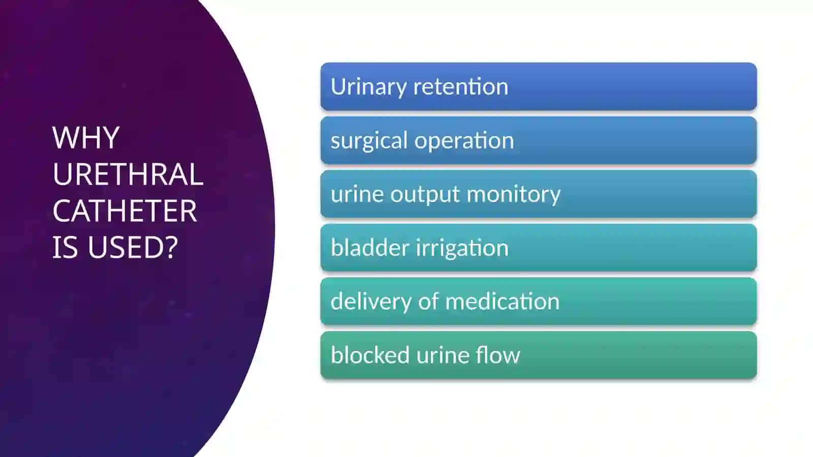 Urethral catheterization 4