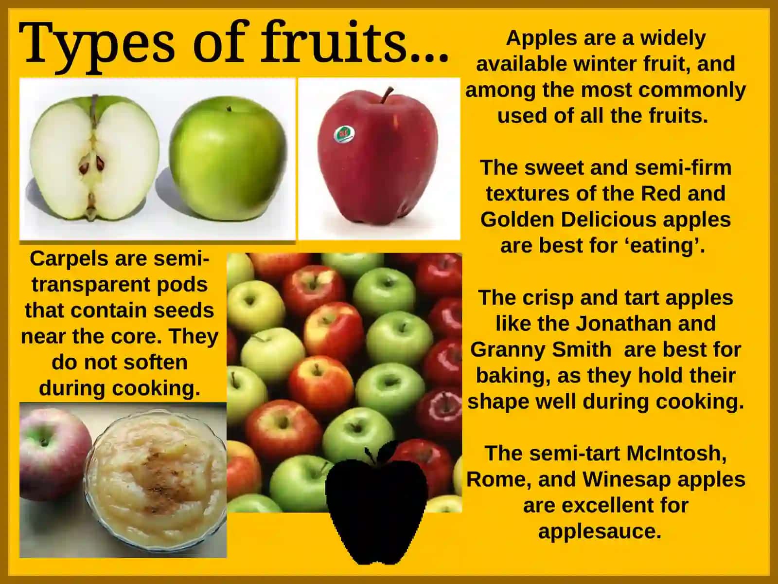 FRUITS 4