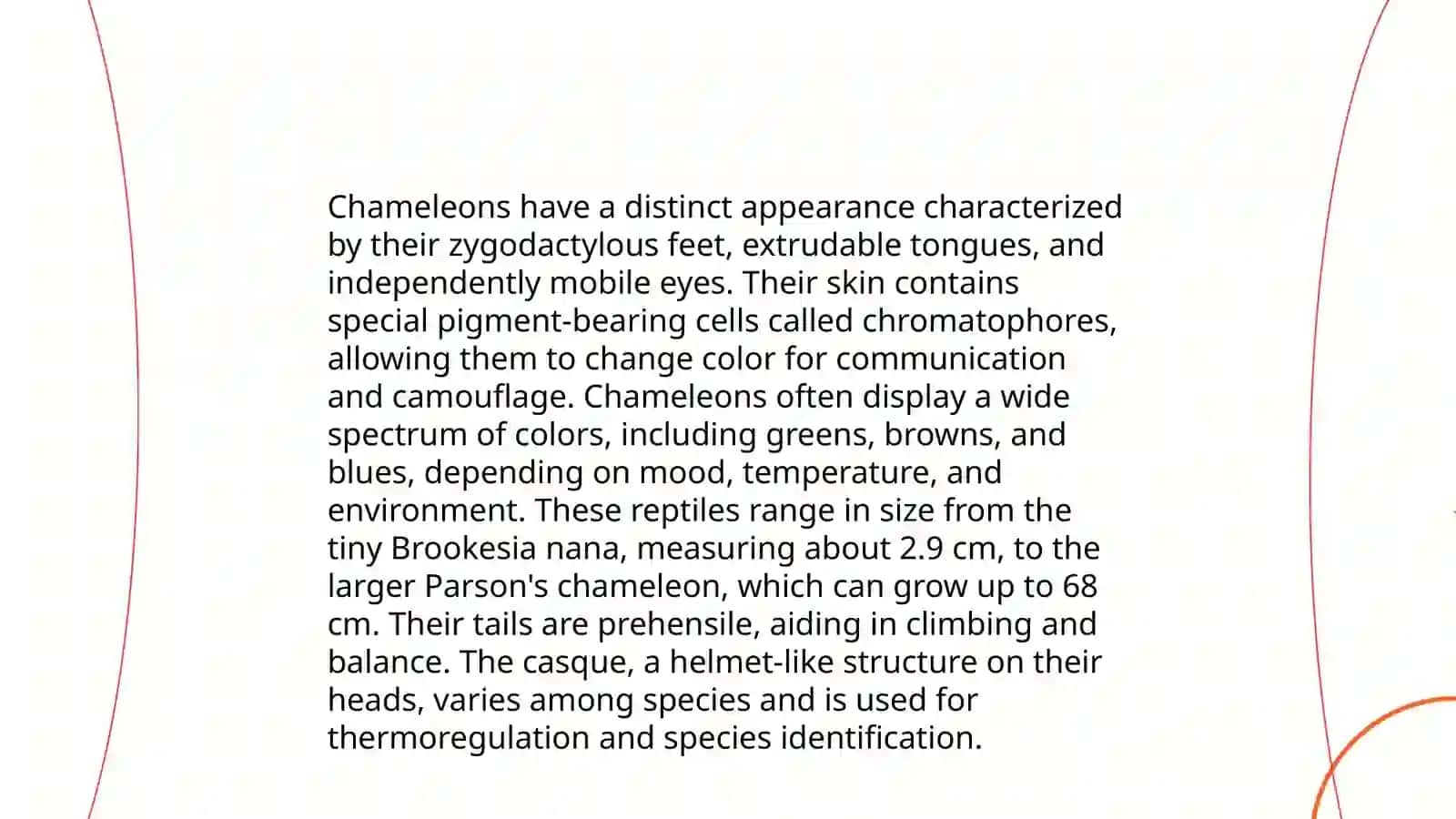 Xamelyon 4