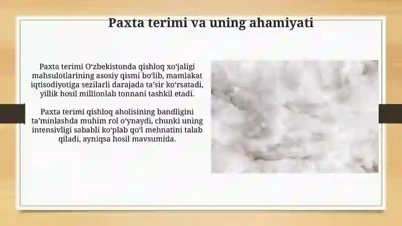 Paxta tozalash 4