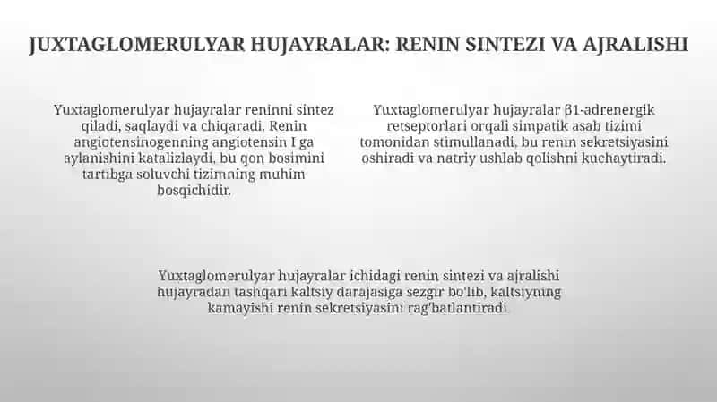 Buyrakning yukstaglomerulyar apparati sitofiziologiyasi.Nefronning gistofiziologiyasi 4