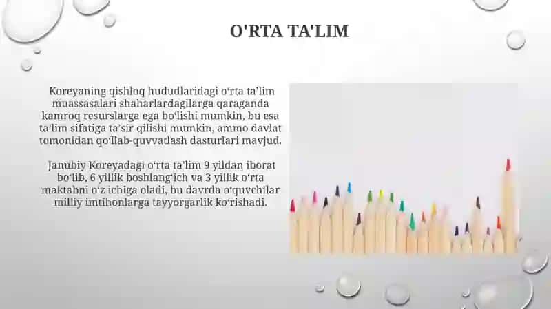 Koreya taʼlim tizimi 4