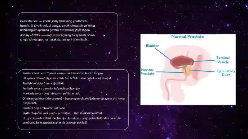 Prostata bezi o‘smalari 4