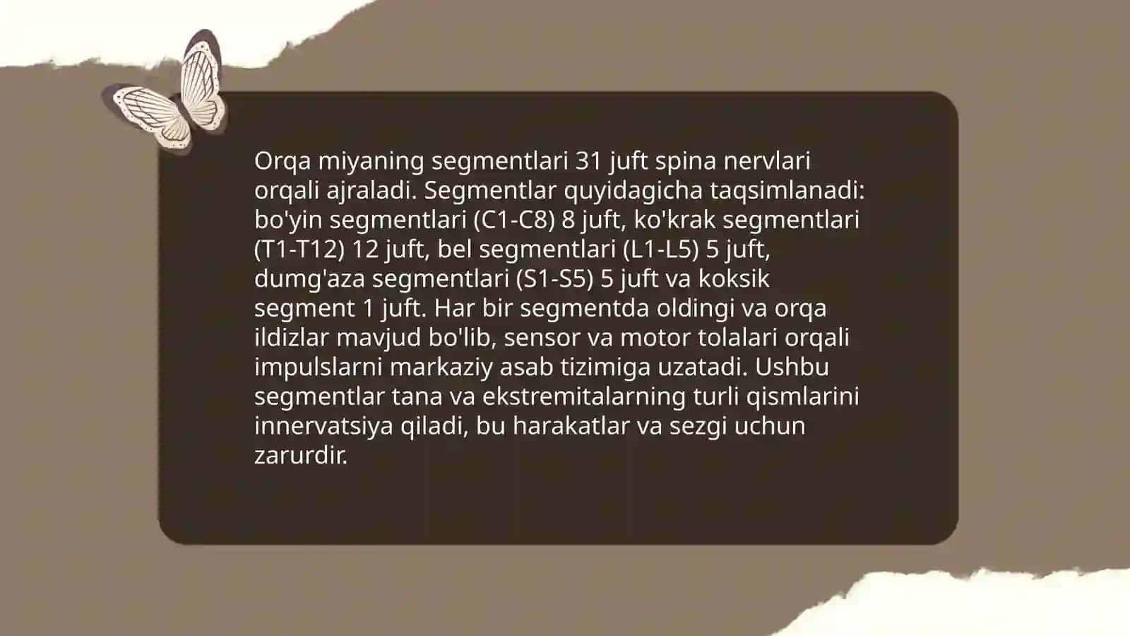 Orqa miyaning tuzilishi 4