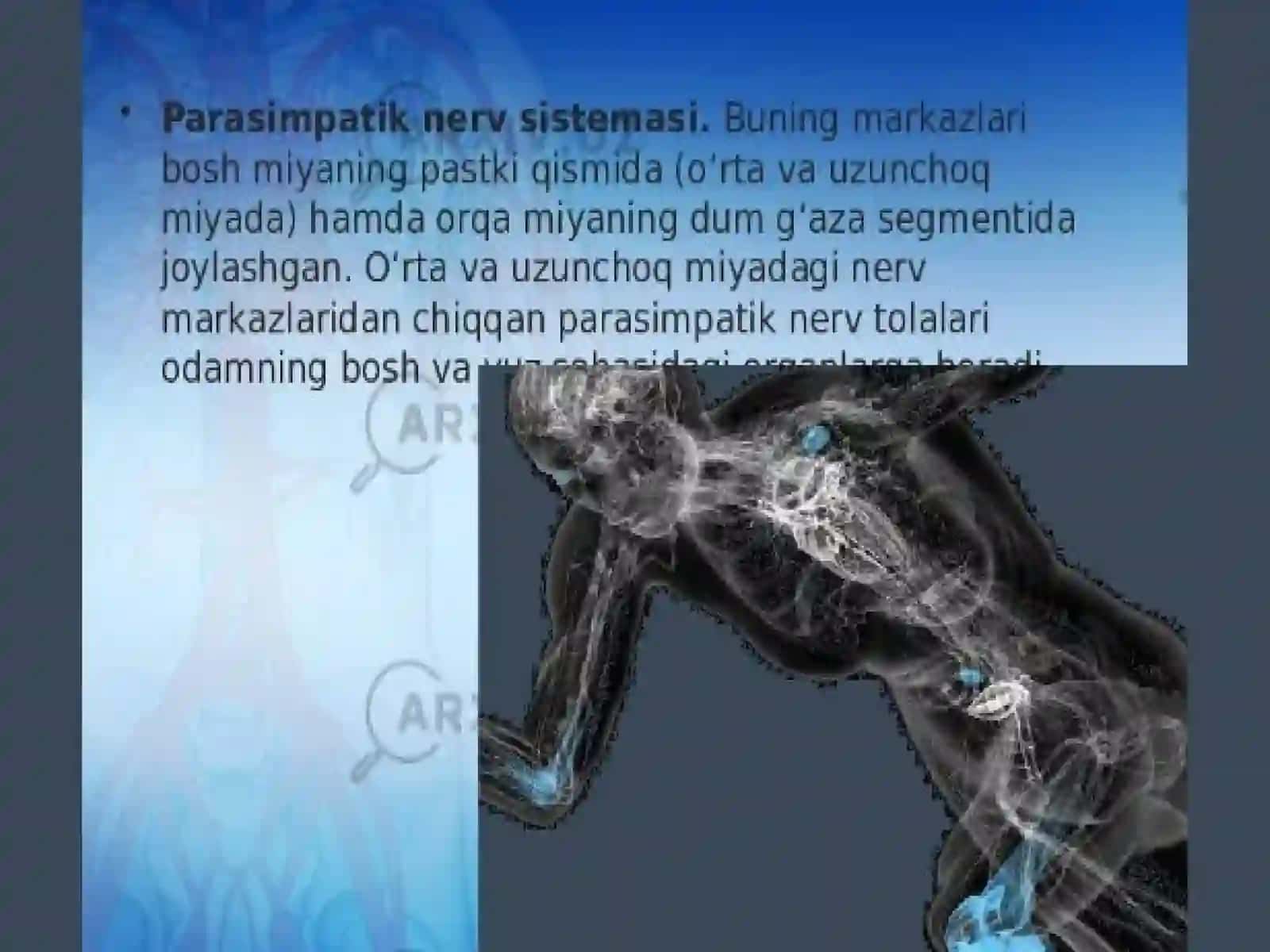 Vegetativ nerv sistemasining faoliyatini o'rganish 4
