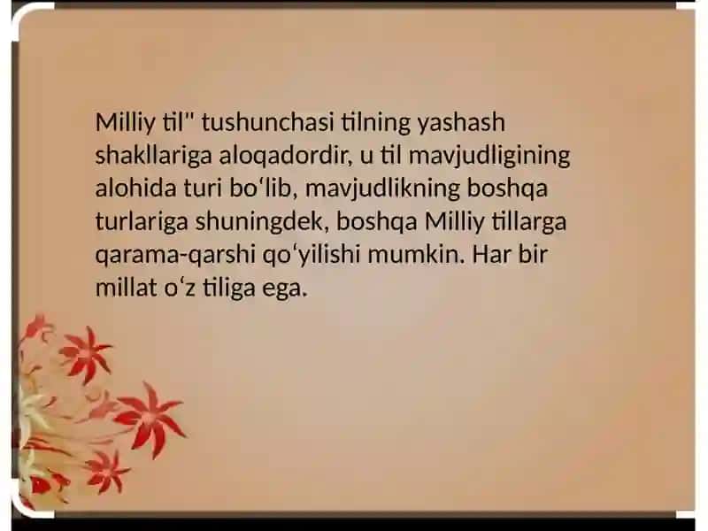 Milliy va adabiy til 4