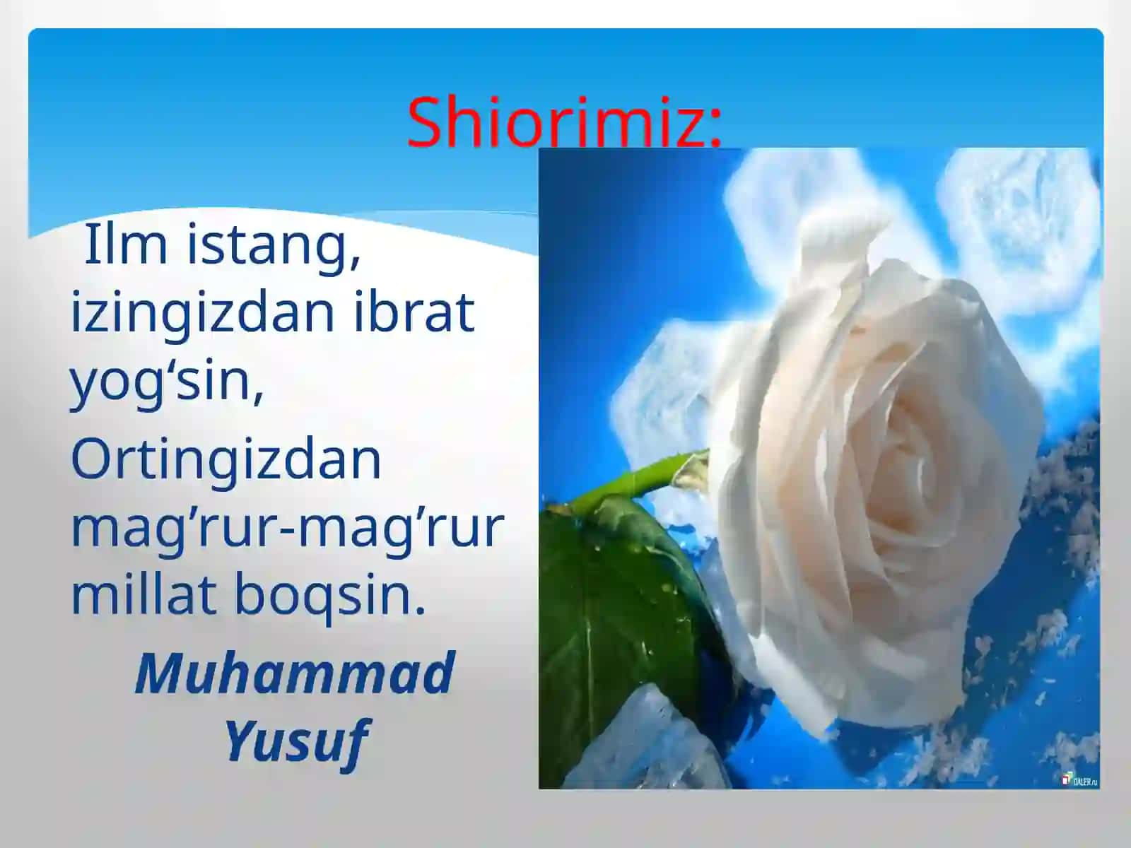 Muhammad Yusuf hayoti va ijodi boʻyicha dars ishlanma 4