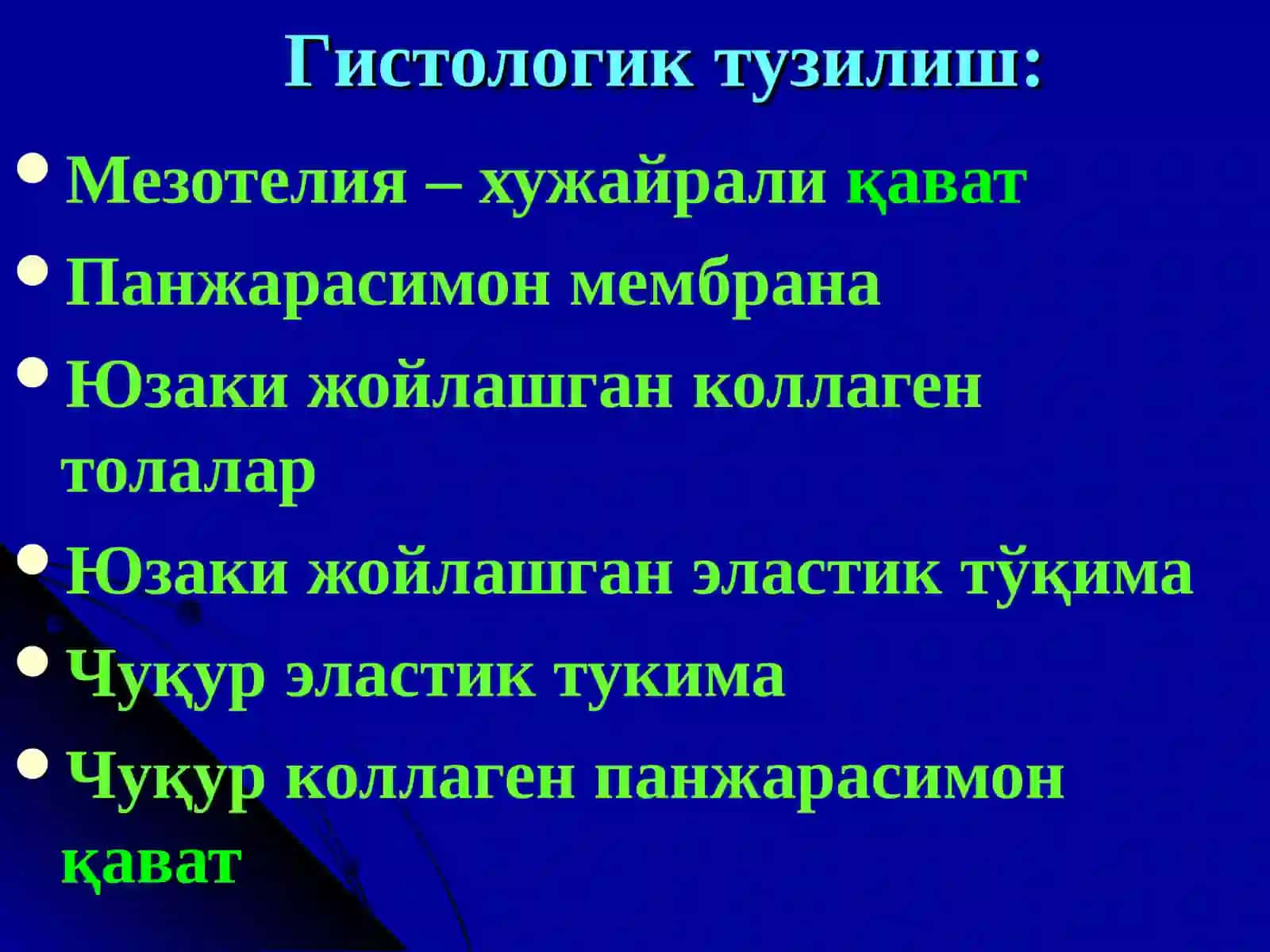 Плевра туберкулези.Туберкулез менингити 4