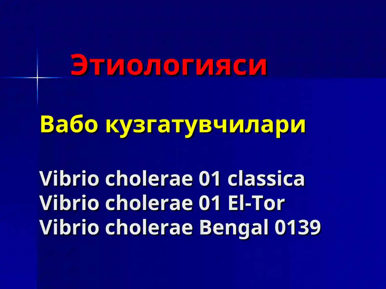 Вабо(cholera) 4