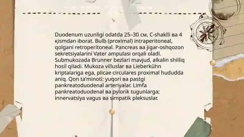 Ingichka ichak 4