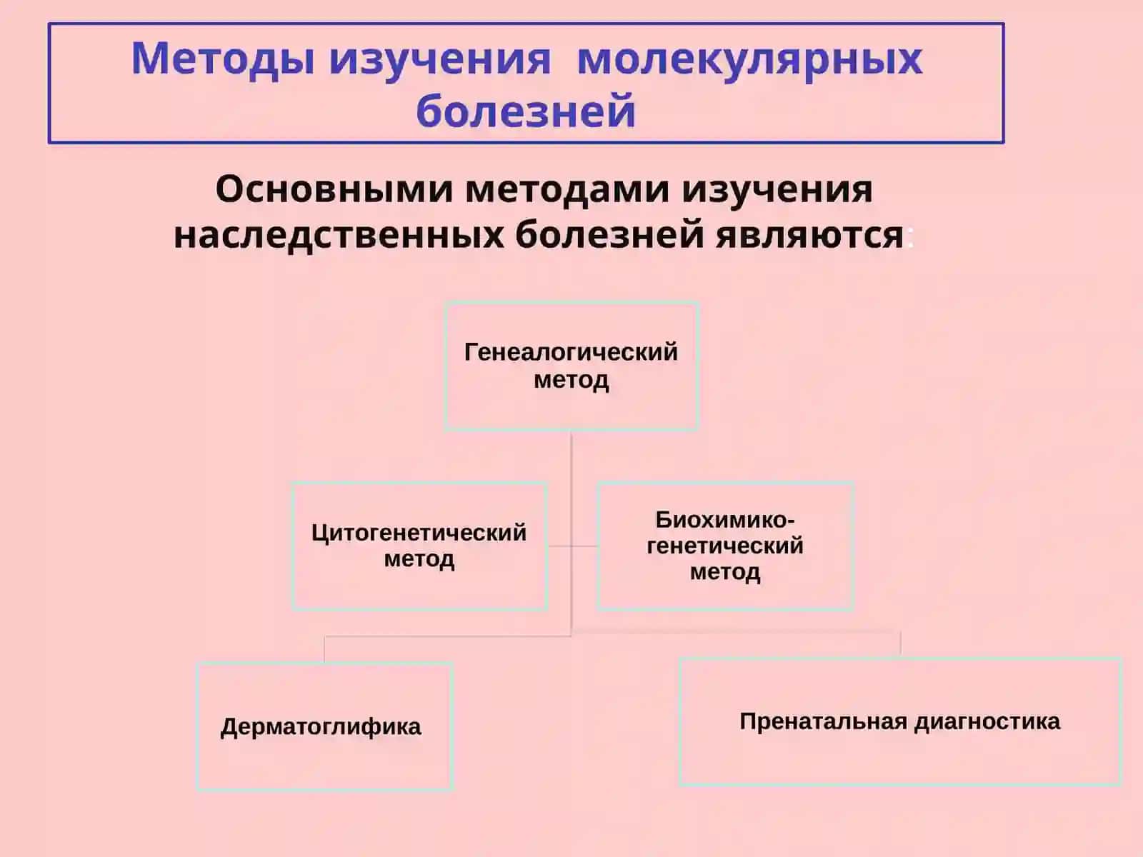 Молекулярные болезни 4